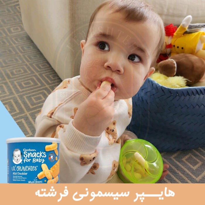 پفک ارگانیک گربر Gerber - تصویر 7